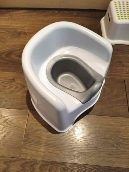 Photo of free Potty (Walton on the Hill L9) #1