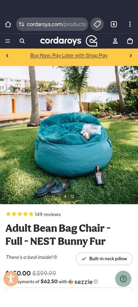 Photo of free Cordaroys bean bag full size (Mount Rainier) #2