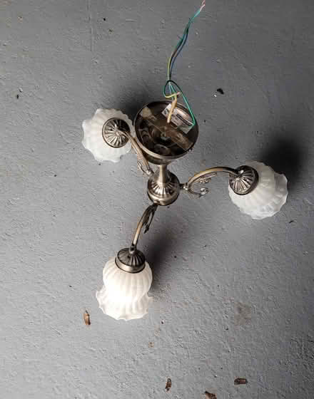 Photo of free Ceiling pendant lights (Mickleover DE3) #4