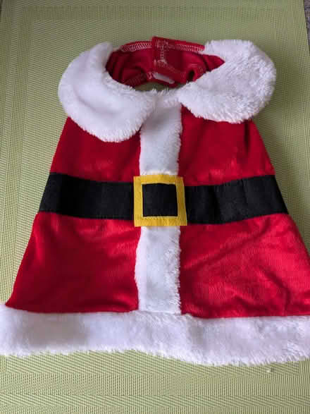 Photo of free Small Santa Dog Costume (Beulah Hill SE19) #1