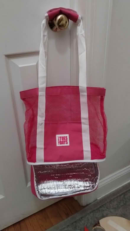 Photo of free Soft sided cooler/mesh bag (Haymarket/Westerly Parkway) #2