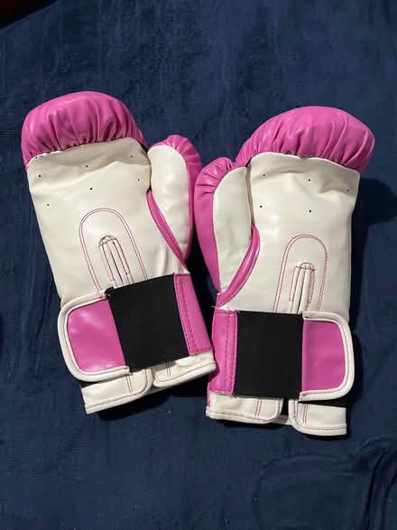 Photo of free Boxing gloves (Silver Spring) #2