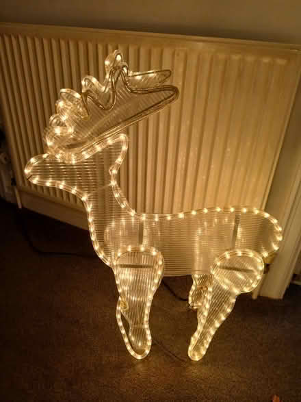 Photo of free Light up reindeer (Orton Wistow) #1
