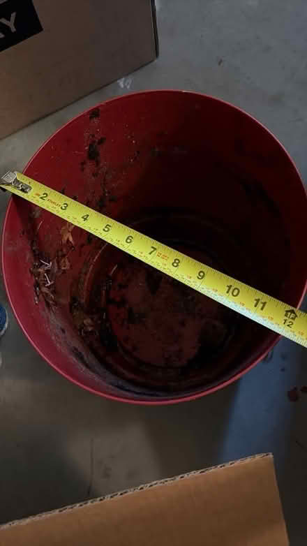 Photo of free Maroon plastic plant pot (Cupertino by De Anza College) #2