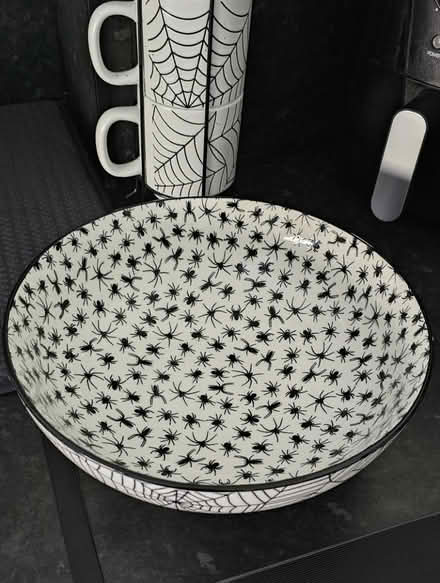 Photo of free Large ceramic spiderweb bowl (Edinburgh EH7) #2