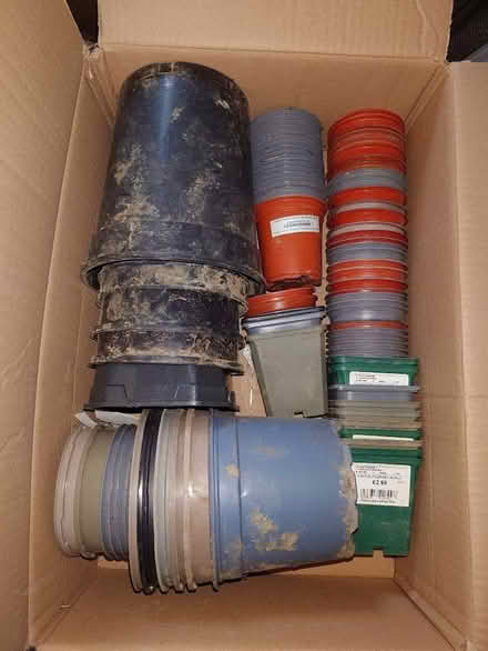 Photo of free Plant pots (plastic) (Dursley GL11) #1