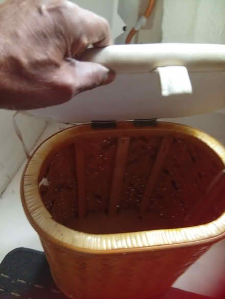 Photo of free Laundry basket (Penge SE26) #1