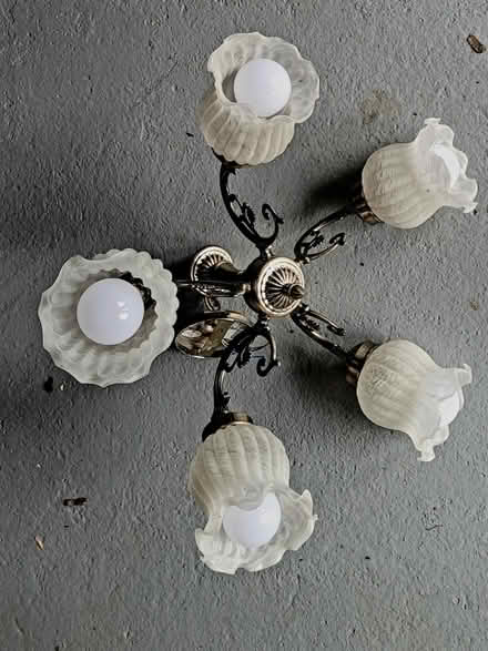 Photo of free Ceiling pendant lights (Mickleover DE3) #1