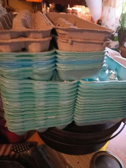Photo of free Egg cartons (Grafton WV. 26354) #1
