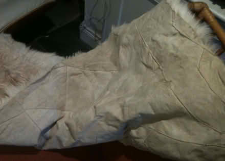 Photo of free Big blonde real fur throw/blanket/rug (North Laine BN1) #3