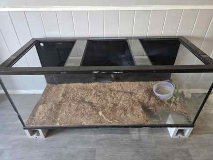 Photo of free Fish Tank (Houston) #1