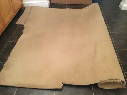 Photo of free Carpet (Wickford, Essex SS11) #1