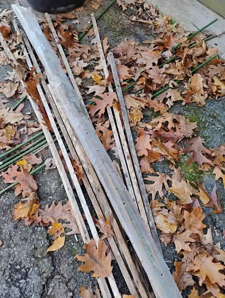Photo of free Chicken wire and stakes (Acton) #1