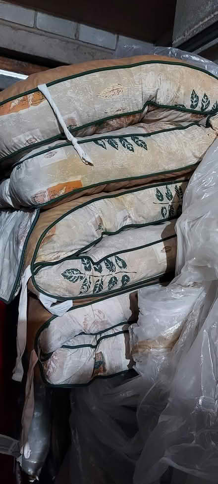 Photo of free Swing cushion seat (S10 Endcliffe Vale) #4