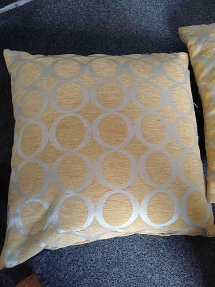Photo of free 4 cushions (M28 Ellenbrook) #2