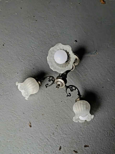 Photo of free Ceiling pendant lights (Mickleover DE3) #3