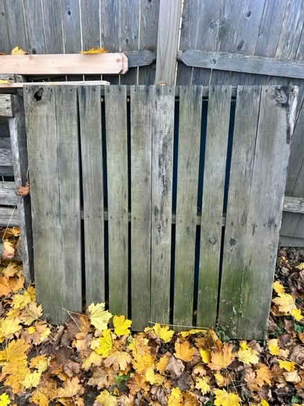 Photo of free Skids (Millville area of Naugatuck) #1