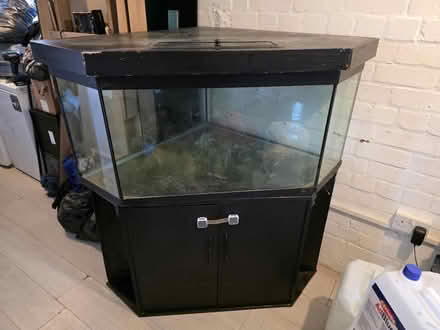Photo of free 350l corner fish tank and stand (Keynsham BS31) #2