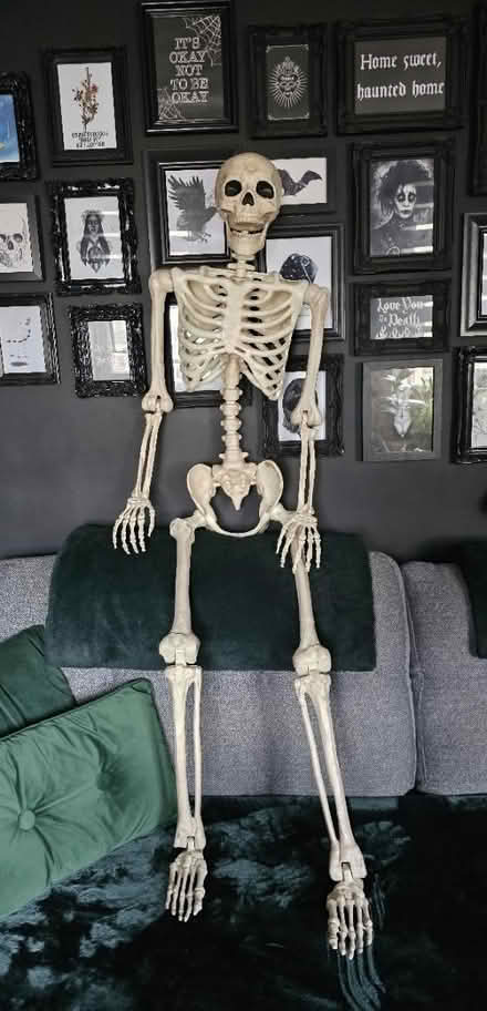 Photo of free Full size plastic skeleton (Edinburgh EH7) #1