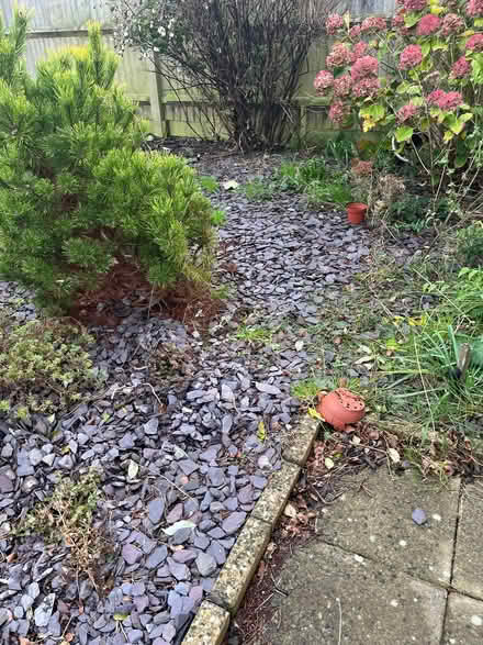 Photo of free Ground cover slate (Langney BN23) #1