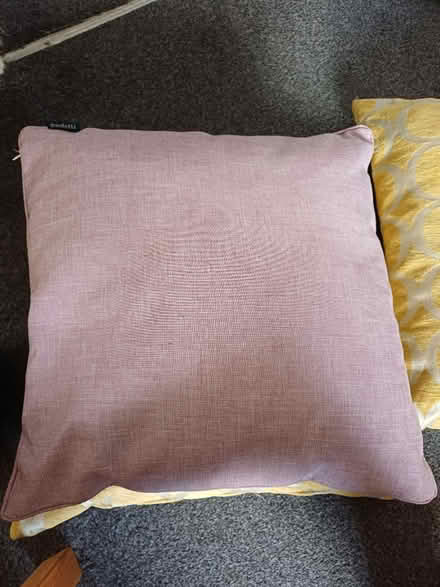 Photo of free 4 cushions (M28 Ellenbrook) #3