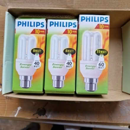 Photo of free Light Bulbs (Driffield YO25) #2