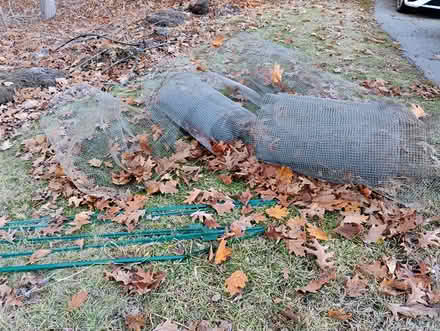 Photo of free Chicken wire and stakes (Acton) #2