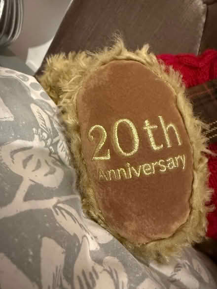 Photo of free Harrods teddy bear (Carshalton) #3