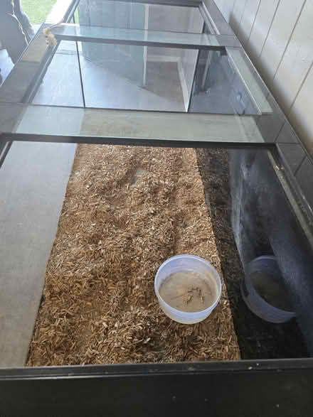 Photo of free Fish Tank (Houston) #2