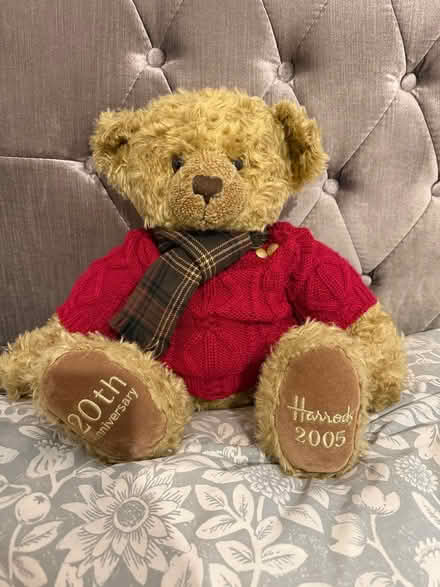 Photo of free Harrods teddy bear (Carshalton) #1