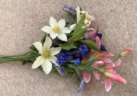 Photo of free Plastic flowers (Westbury on Trym BS9) #2