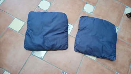 Photo of free Two blue cushions, formerly the cat's (New Marston OX3) #1