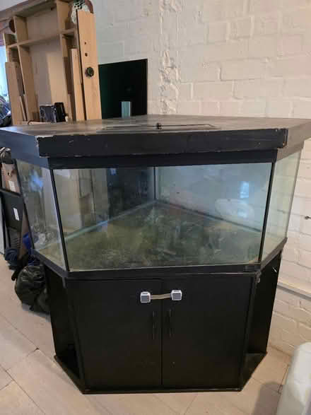 Photo of free 350l corner fish tank and stand (Keynsham BS31) #1
