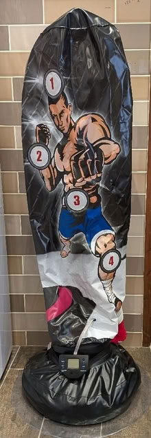 Photo of free Boxing 160cm Electronic Punch Bag Martial Arts (Stagden Cross CM3) #1