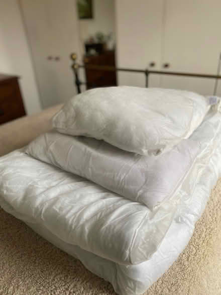 Photo of free Double duvet and 3 cushion fillers (Saltburn-by-the Sea TS12) #1