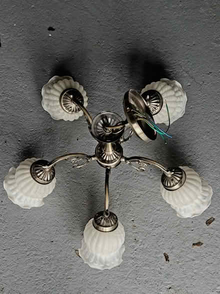 Photo of free Ceiling pendant lights (Mickleover DE3) #2