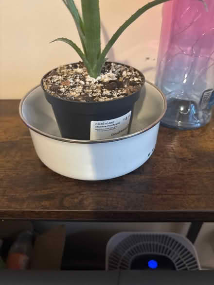 Photo of Plant pots (CV1) #2