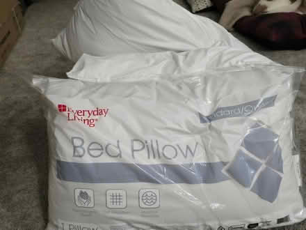 Photo of free 3 Queen Pullows (Kirkland, WA) #1