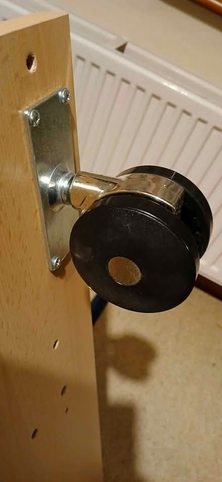 Photo of free Castors (Drayton PO6) #1