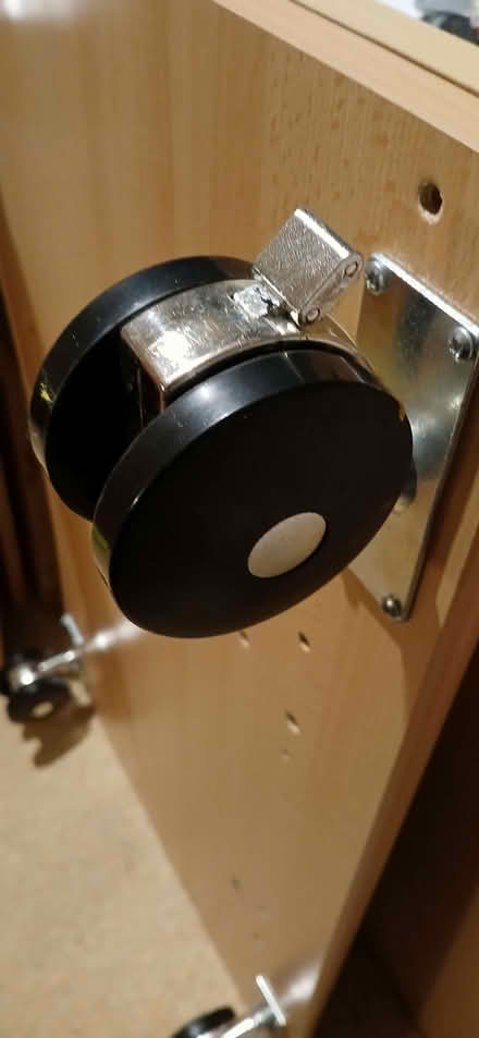 Photo of free Castors (Drayton PO6) #2