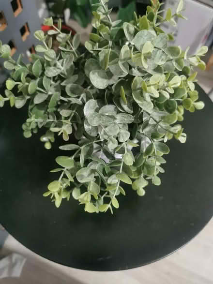 Photo of free Artificial plant and pot (Longsight M12) #1