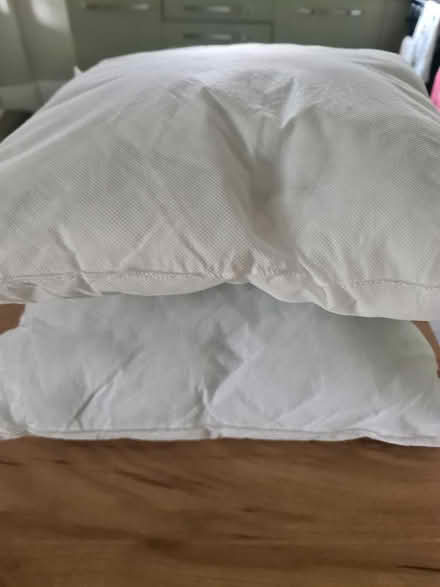 Photo of free Cushion inners (Baxenden BB5) #1