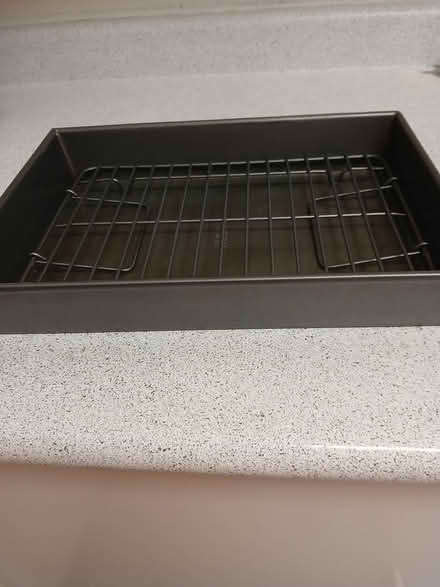 Photo of free Roaster with chicken rack (Meadowvale and 401 area) #2