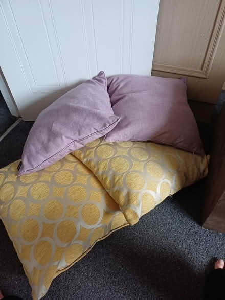 Photo of free 4 cushions (M28 Ellenbrook) #1