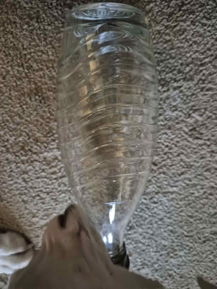 Photo of free 1 SodaStream Glass Carbonating Carafe (Stonehouse GL10) #1