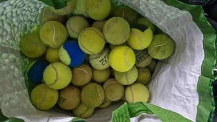 Photo of free 76 Tennis balls (The Dovecotes WV8) #1