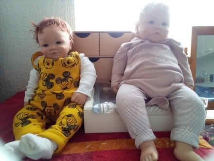 Photo of free Soft bodies dolls (SE20) #1