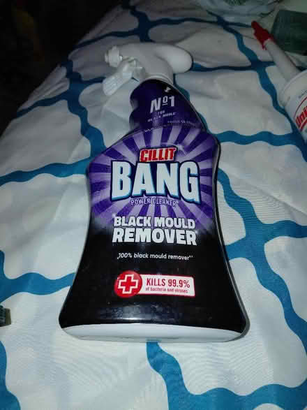 Photo of free Colitis Bang black mould remover (Stafford ST17) #1