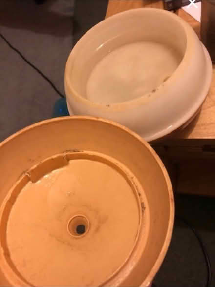 Photo of free Diffuser (N19 archway) #2