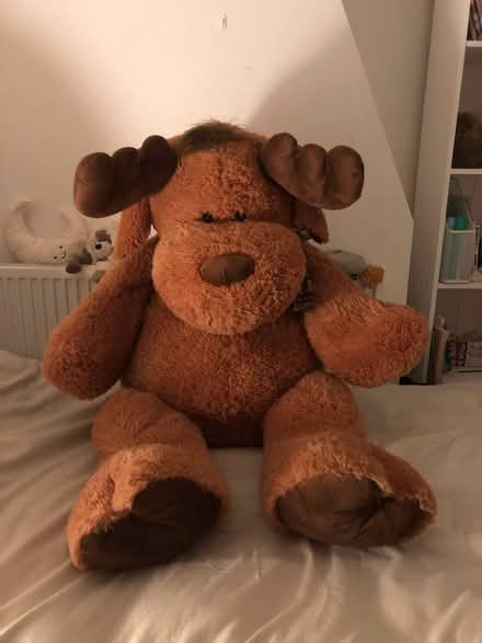 Photo of free Large cuddly reindeer (Whitchurch CF14) #2